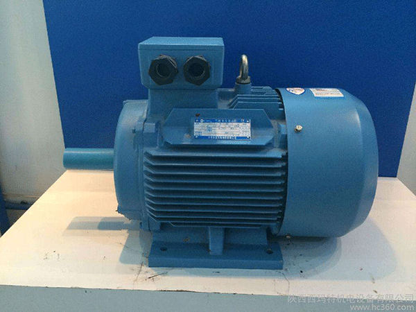 高效節(jié)能電機(jī)是西安泰富西瑪未來(lái)商業(yè)發(fā)展的方向。